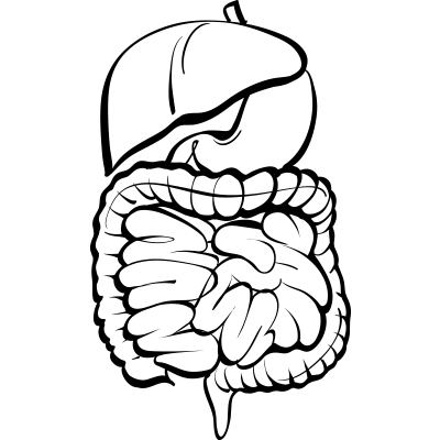 400x400 Homologous Recombination Deficiency May Be Linked To Bladder
