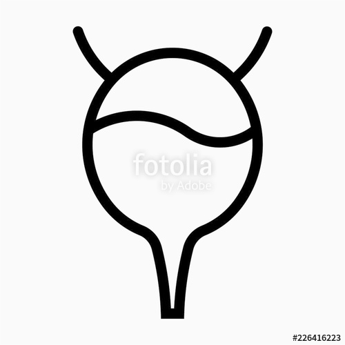 500x500 Outline Urinary Bladder Pixel Perfect Vector Icon Stock Image