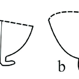 320x320 schematic drawing of the posterior portion of the gas bladder