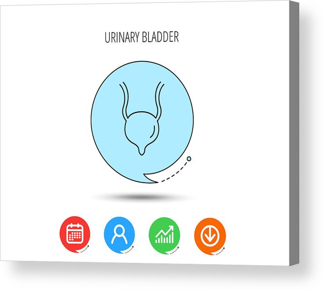 665x597 Urinary Bladder Icon Human Body Organ Sign Acrylic Print