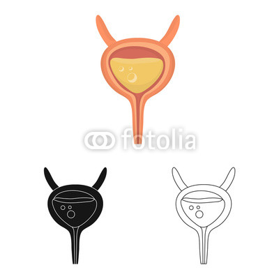 400x400 Vector Illustration Of Incontinence And Bladder Logo Collection