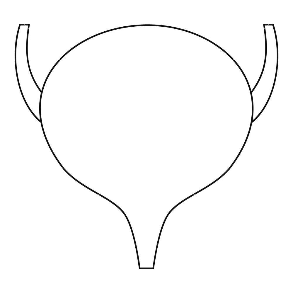 1000x1000 Bladder Icon Outline Illustration Of Bladder Vector Icon For Web
