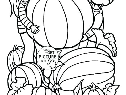 440x330 Fall Pumpkin Coloring Pages Fall Pumpkin Coloring Pages Blank