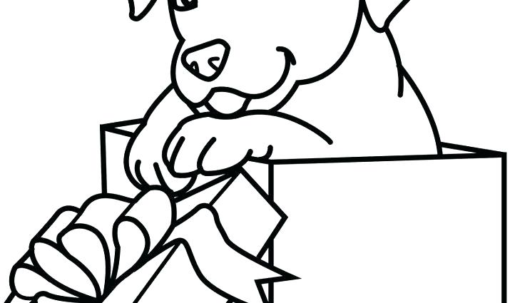 715x425 Princess Jasmine Holding A Lotus Flower Coloring