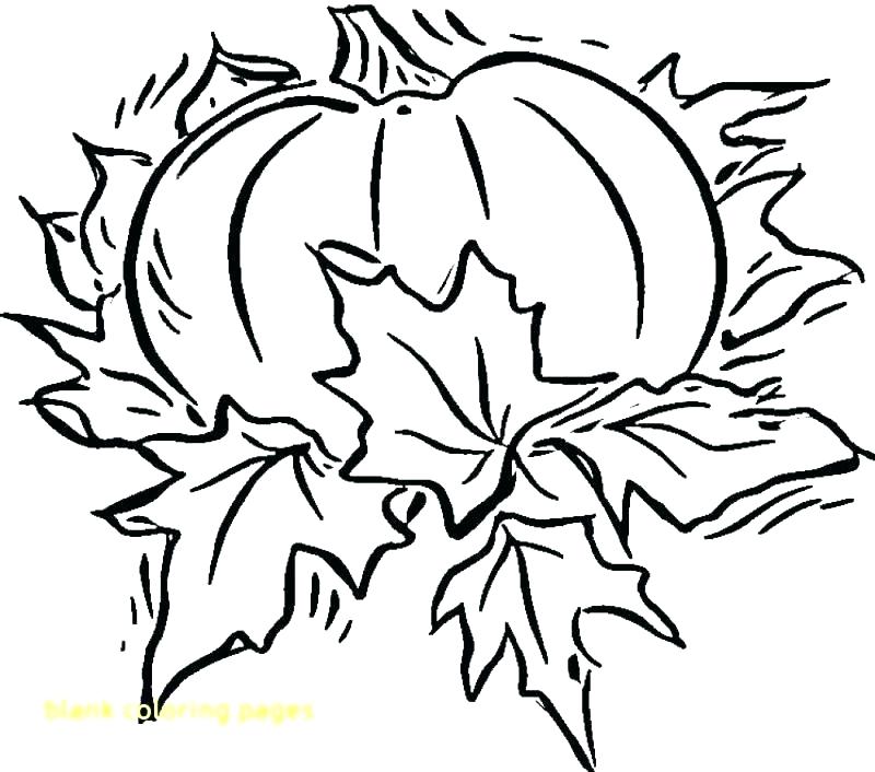 800x706 Printable Blank Coloring Pages Blank Coloring