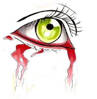 331x337 Cats Eye Abbiestabby