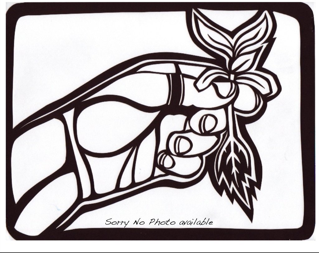 1024x812 Dicentra Formosa 'spring Gold'