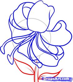 236x264 how to draw a bleeding heart flower step