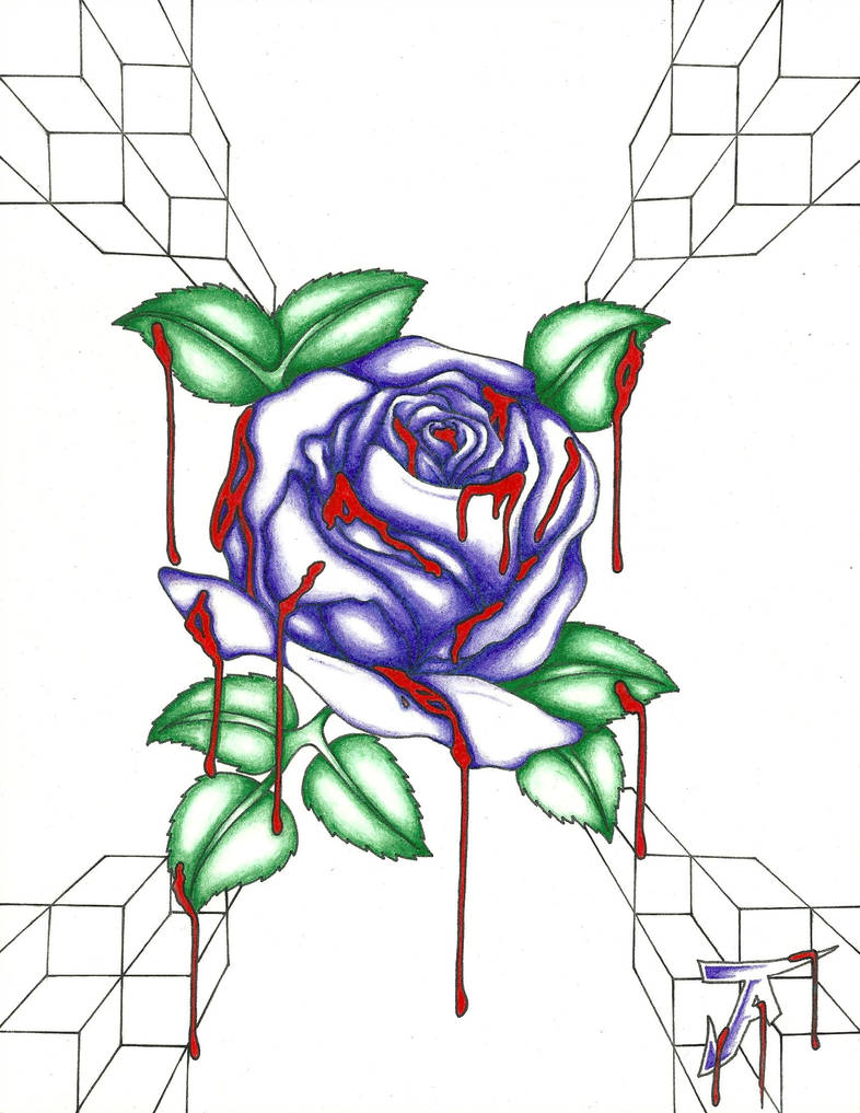 786x1017 Bleeding Rose