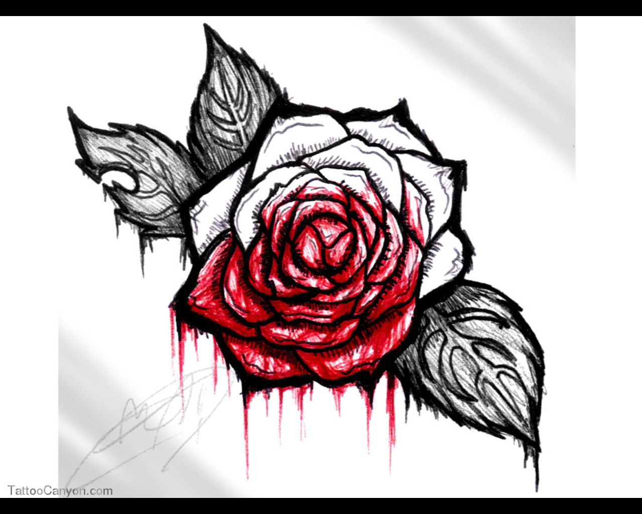 1280x1024 Gallery For Gt Tattoo Roses Dripping Blood Tattoos Tattoo