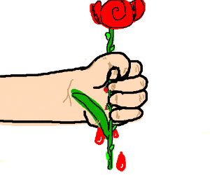 300x250 Hand Holding A Rose
