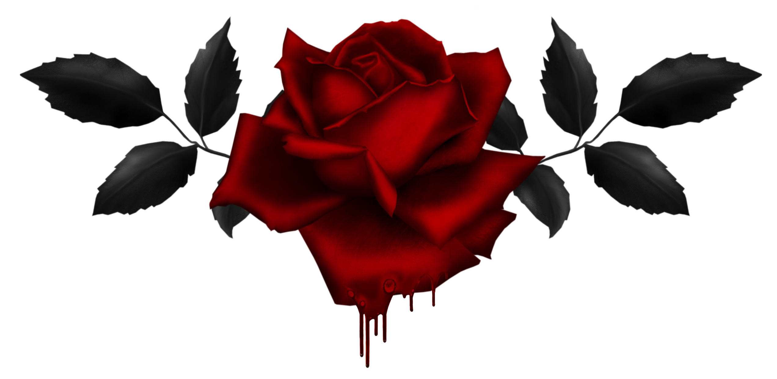 2544x1243 Dongetrabi Black Rose Drawing Bleeding Images