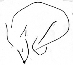 250x221 Blind Drawing Tumblr