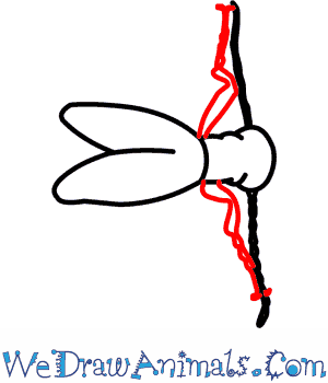 300x350 how to draw a blister beetle