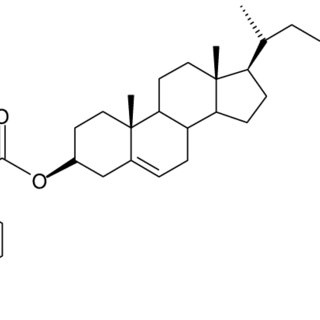 320x320 sem images of blister broken in nitrogen