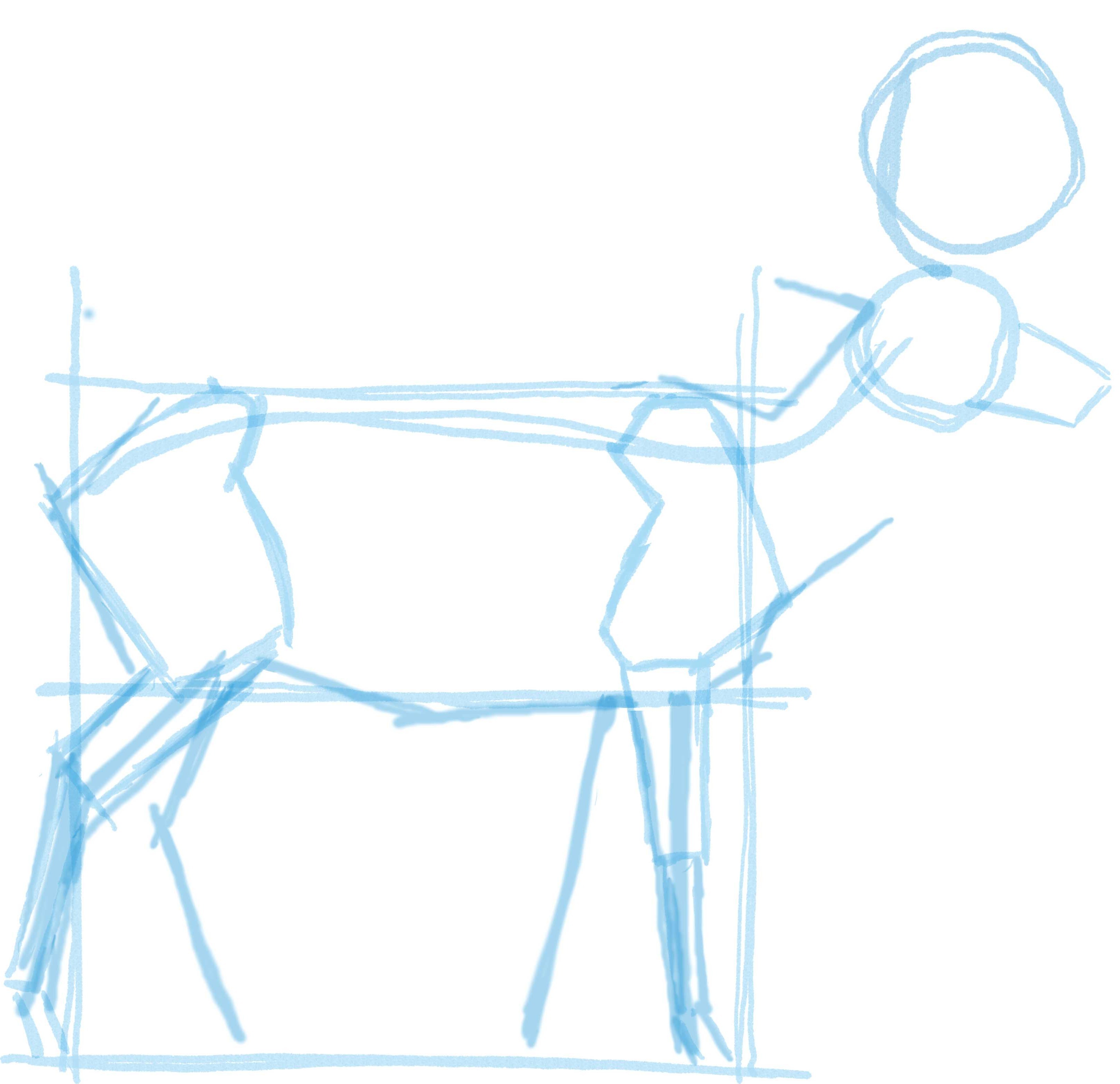 3251x3145 how to draw mammals