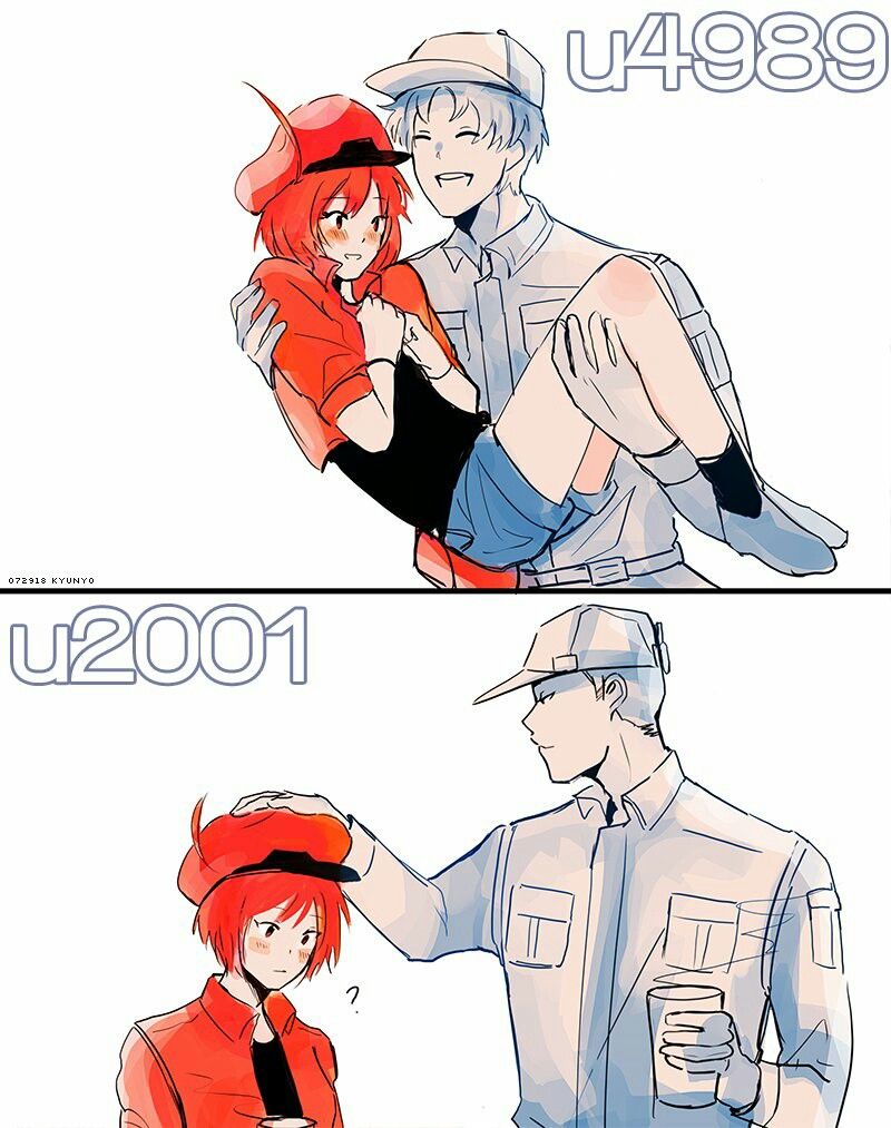 800x1013 hataraku saibou cells