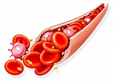 230x170 Stock Image, Bsip