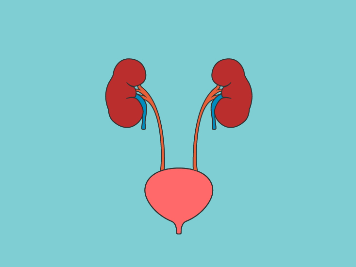 733x550 Blood Urea Nitrogen