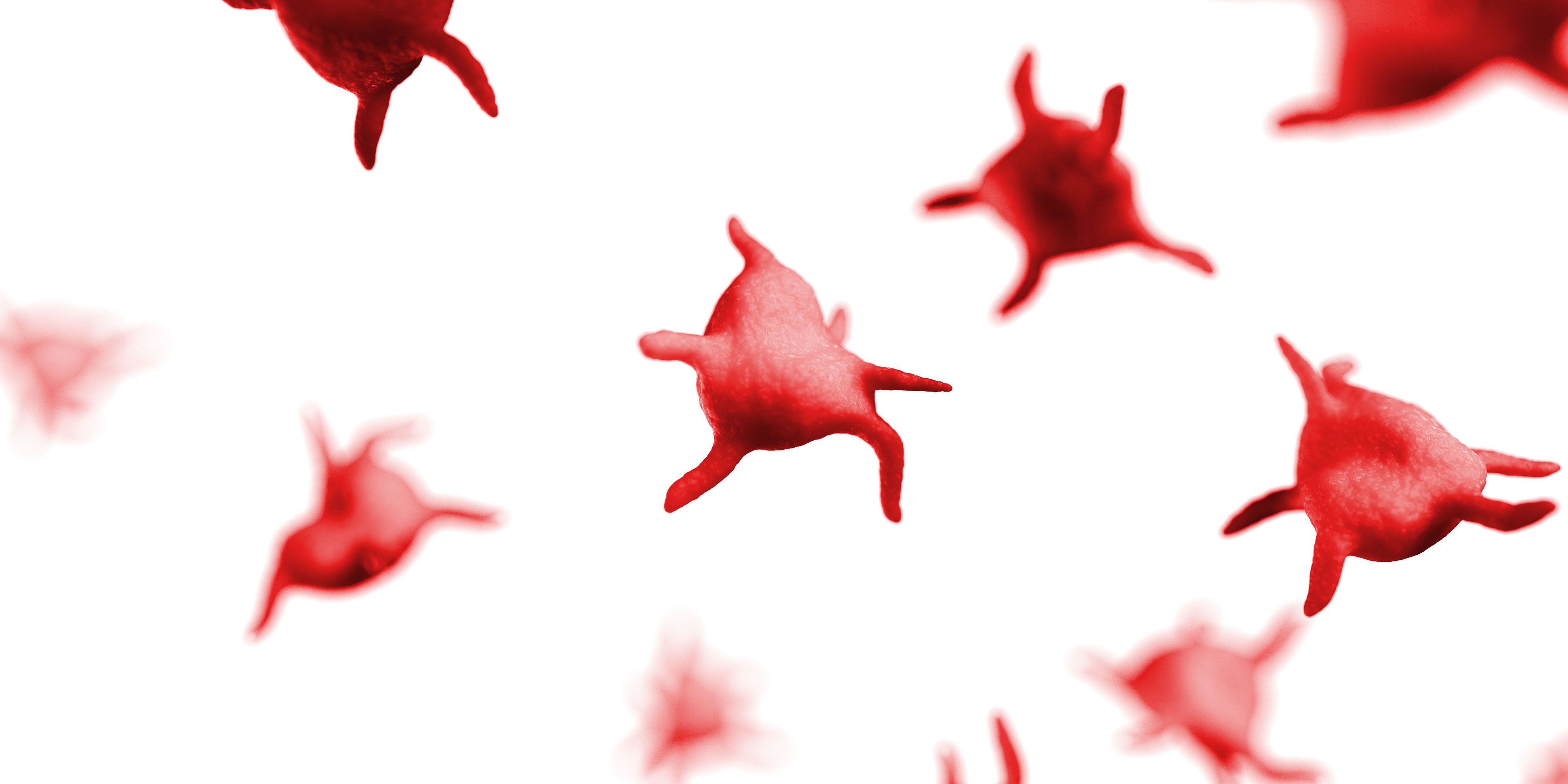 4000x2000 Thrombocytopenia