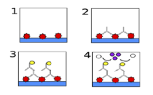 312x194 appendix how hiv tests work guides hiv i base
