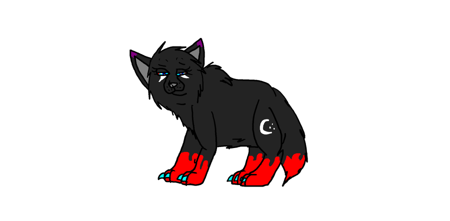 900x442 Blood Splatter