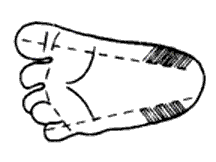 216x162 Blood Specimen Collection And Processing