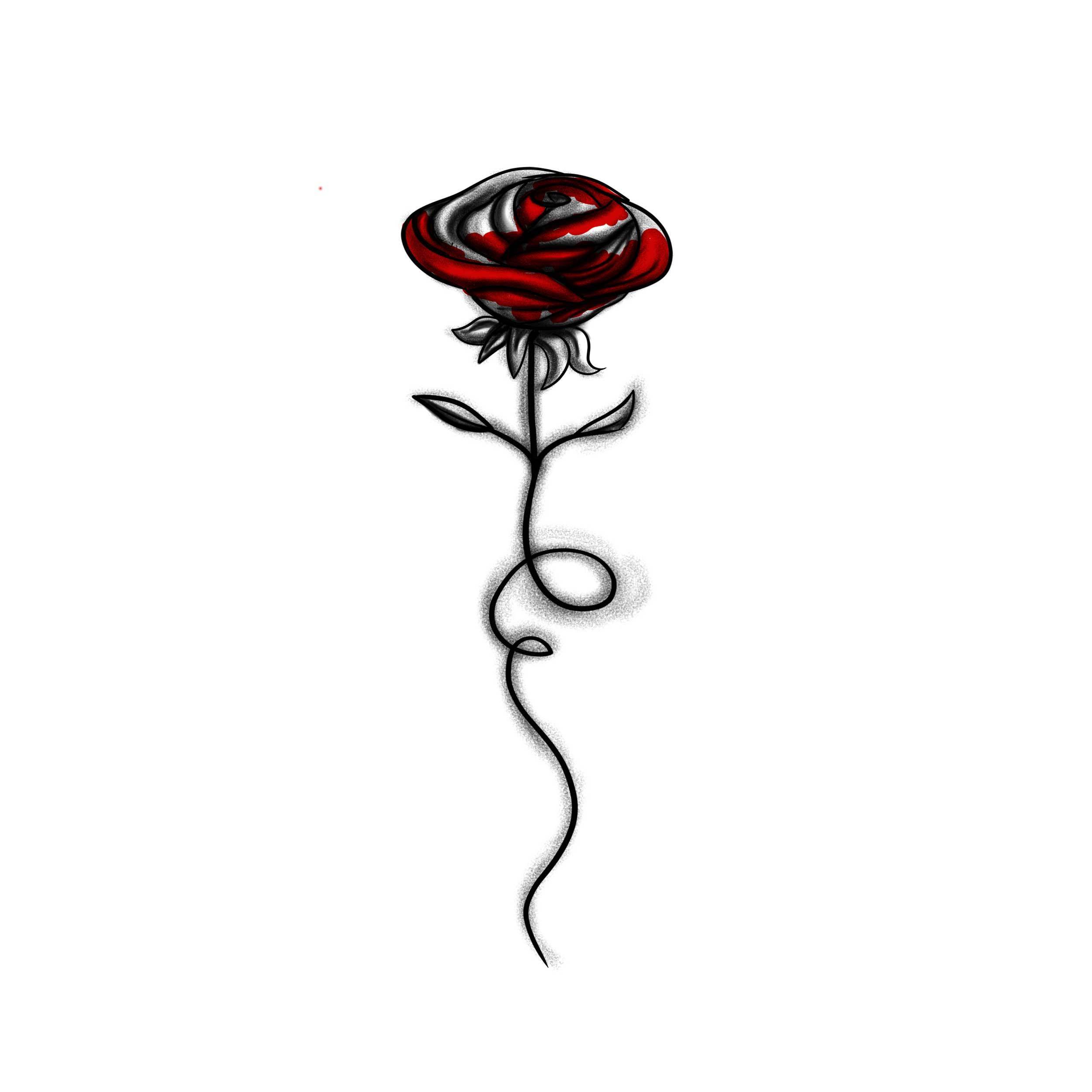 2500x2500 Bloodyrose