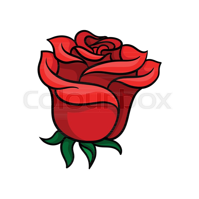 800x800 Bud Of Bloody Red Rose Gorgeous Stock Vector Colourbox
