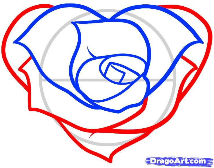 738x580 Huge Collection Of 'heart Rose Drawing' Download More Than