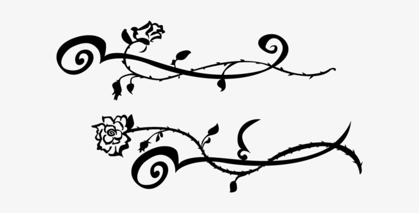 820x418 Rose Vine Drawing