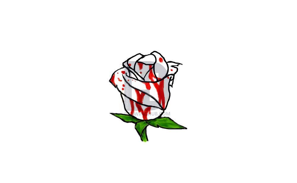 1000x618 Bloody Rose Drawing