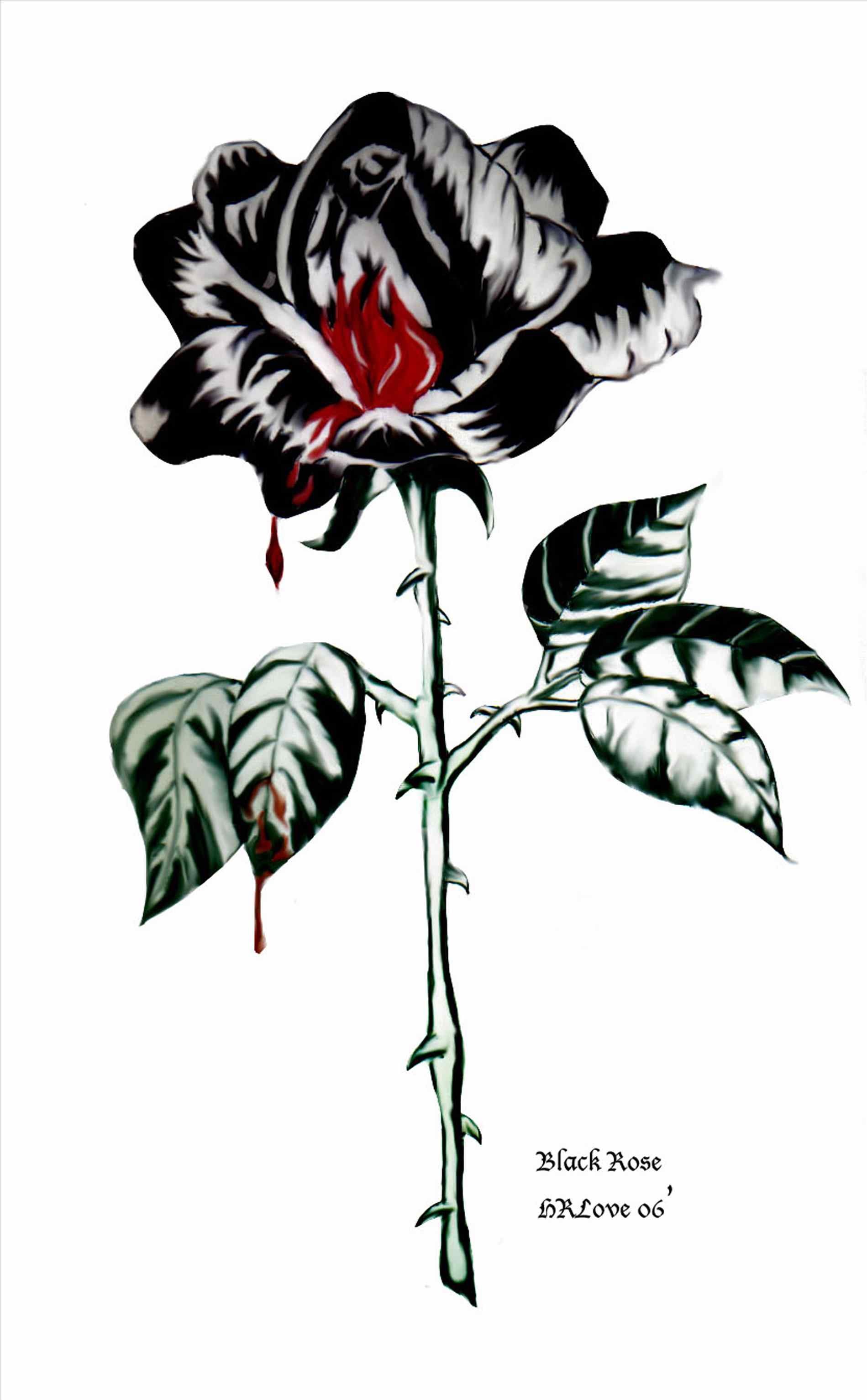 Bloody Rose Drawing Free download on ClipArtMag