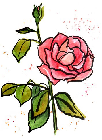 Blooming Rose Drawing | Free download on ClipArtMag