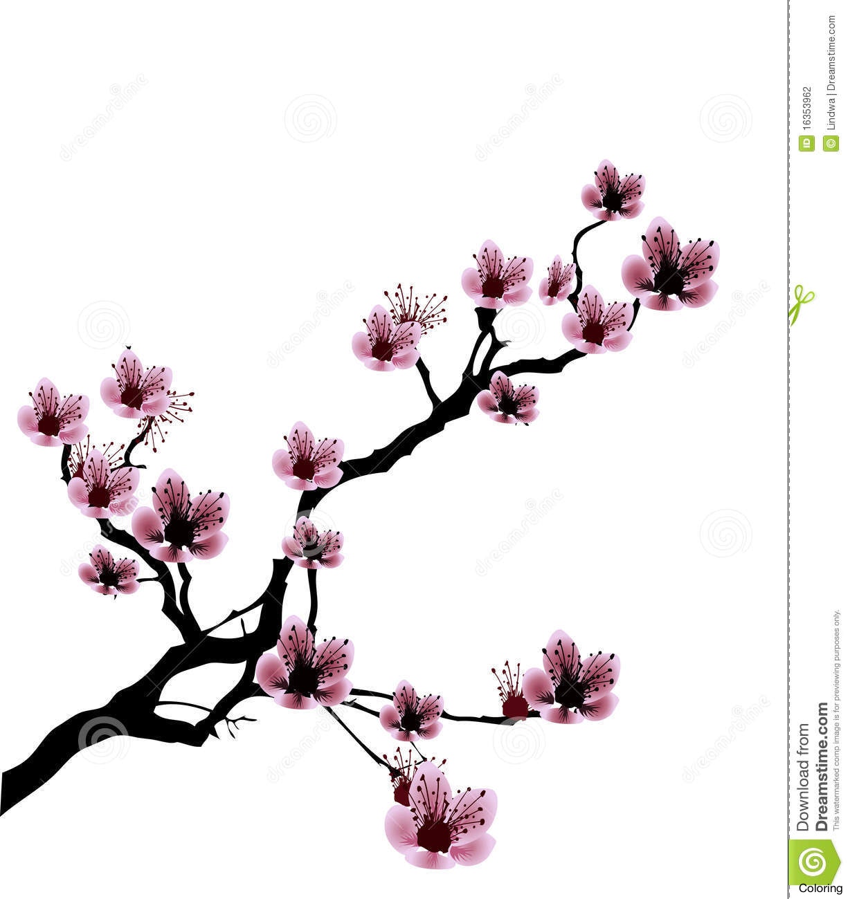 1228x1300 Cherry Blossom Clipart Flower Drawing