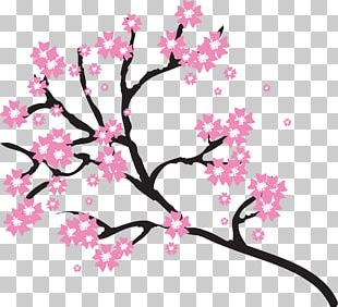 310x282 cherry blossom drawing png, clipart, area, blossom, blossoms