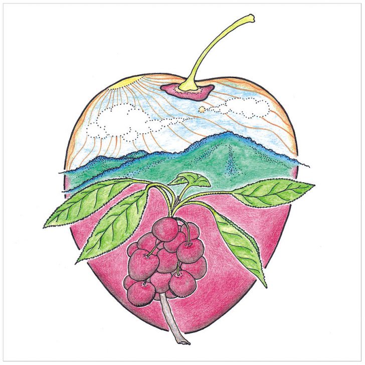 728x727 cherry drawing easy blossom tree cute charcoal mx cad pic outline