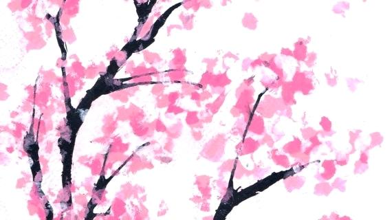 570x320 Cherry Tree Drawing Cherry Blossom Tree Drawing Best Images