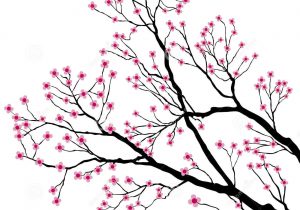 300x210 Flowering Tree Drawing Image Result For Cherry Blossom Tree