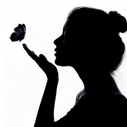 500x500 Black Blow Butterfly Girl Photography