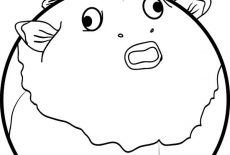 230x155 Find The Best Coloring Pages Resources Here!