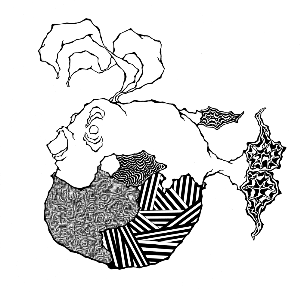 1000x986 obscene blowfish steven galekovic