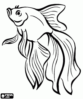 280x336 blowfish coloring