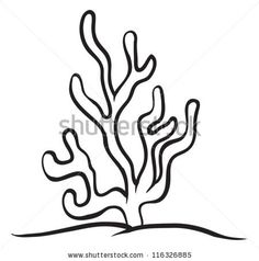 236x238 best blowfish images shapes, blobfish, animales