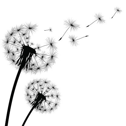 Blowing Dandelion Drawing | Free download on ClipArtMag