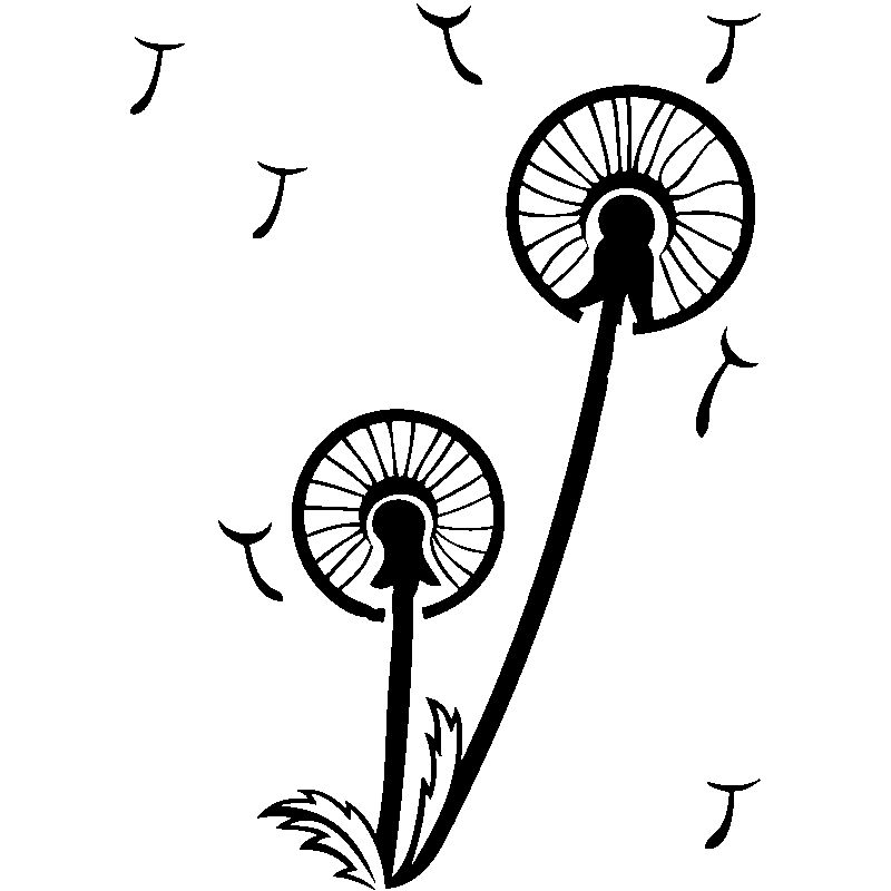 800x800 Dandelion Clipart Blown