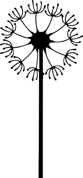 276x588 Drawing Dandelion Art Project Transparent Png Clipart Free