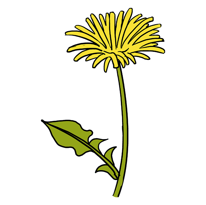 Blowing Dandelion Drawing | Free download on ClipArtMag