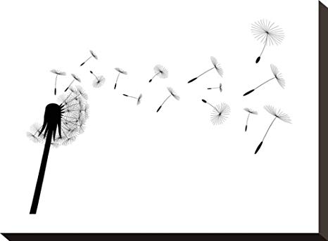 466x343 Artedge Blow Dandelion Stretched Canvas Print
