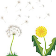 180x180 Beautiful Yellow Dandelion With Leaves Flower Meadow Dandelion